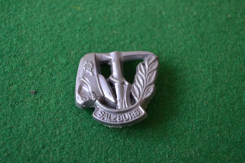 WHW Donation Badge.