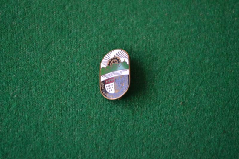 Rally Badge.