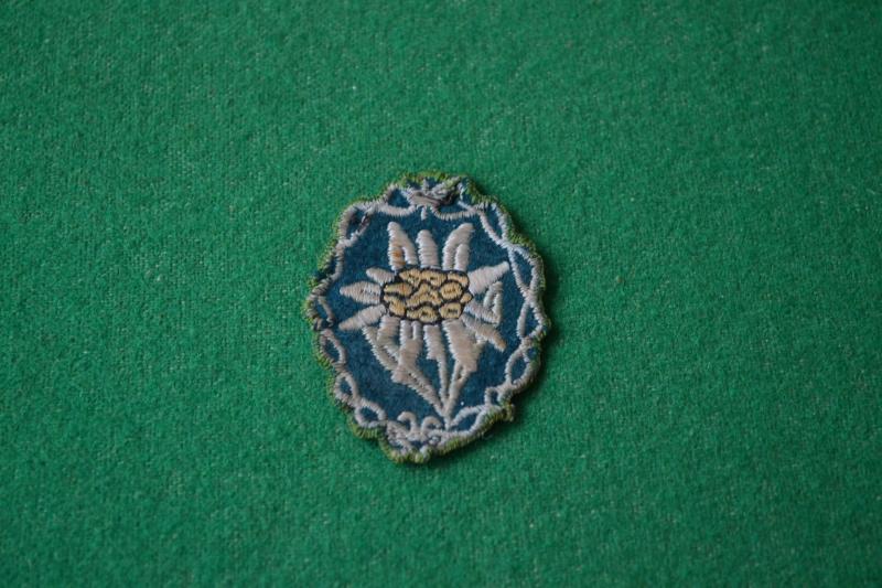 Army Mountain Troops Arm Badge.