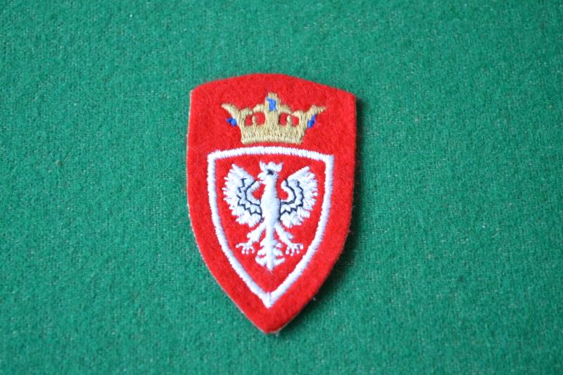 Polish Forces in North Africa.