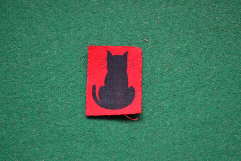 56th Infantry Division.